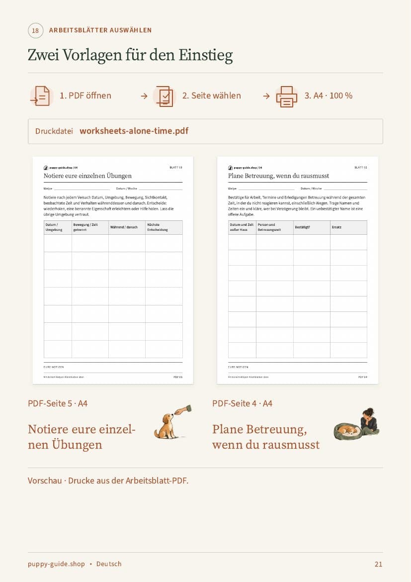 Zwei Vorlagen für den Einstieg · Seite 21