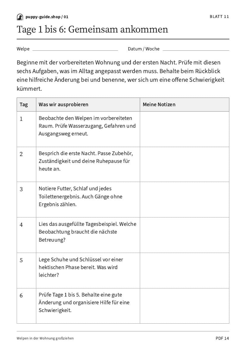 Tage 1 bis 6: Gemeinsam ankommen · Arbeitsblatt-PDF, Seite 14