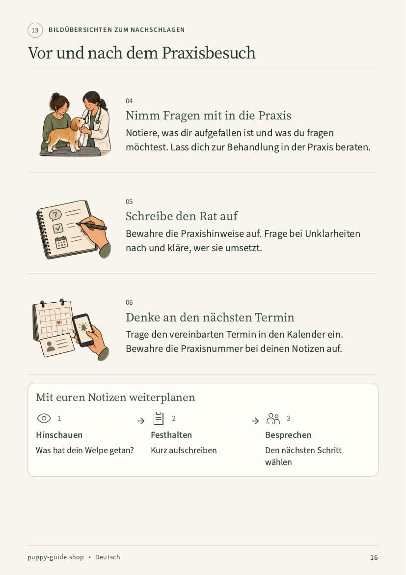 Vor und nach dem Praxisbesuch · Seite 16