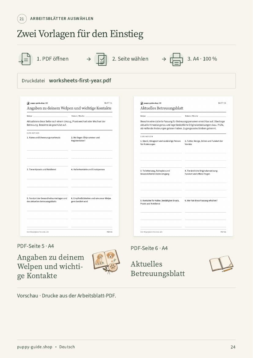 Zwei Vorlagen für den Einstieg · Seite 24