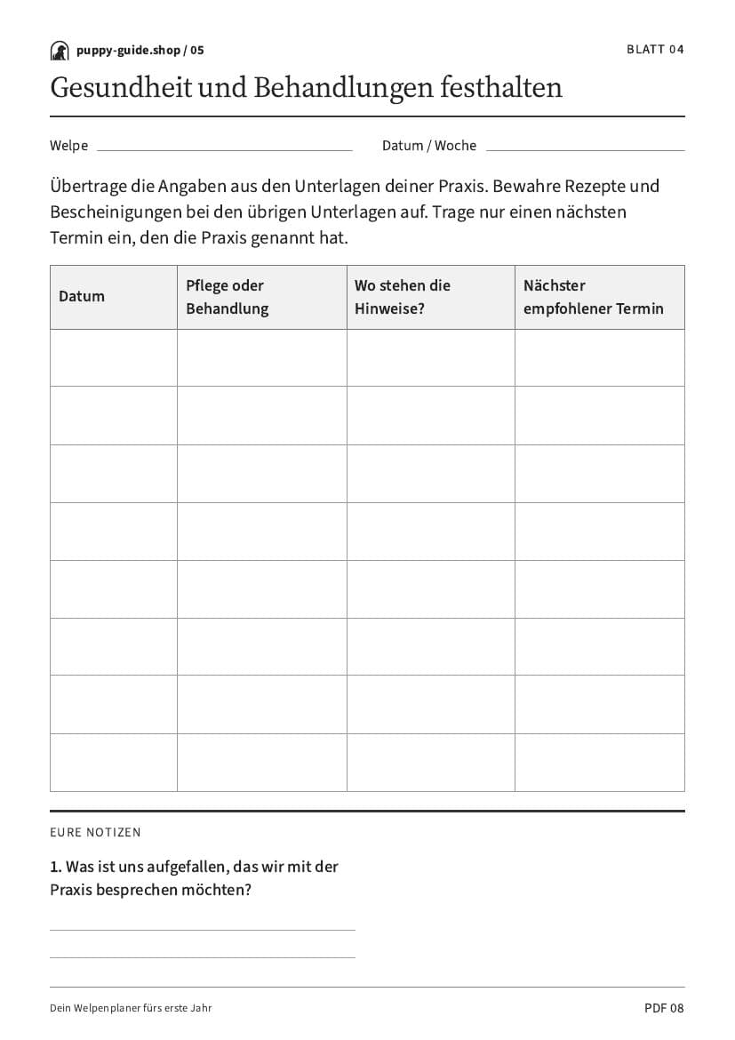 Gesundheit und Behandlungen festhalten · Arbeitsblatt-PDF, Seite 8