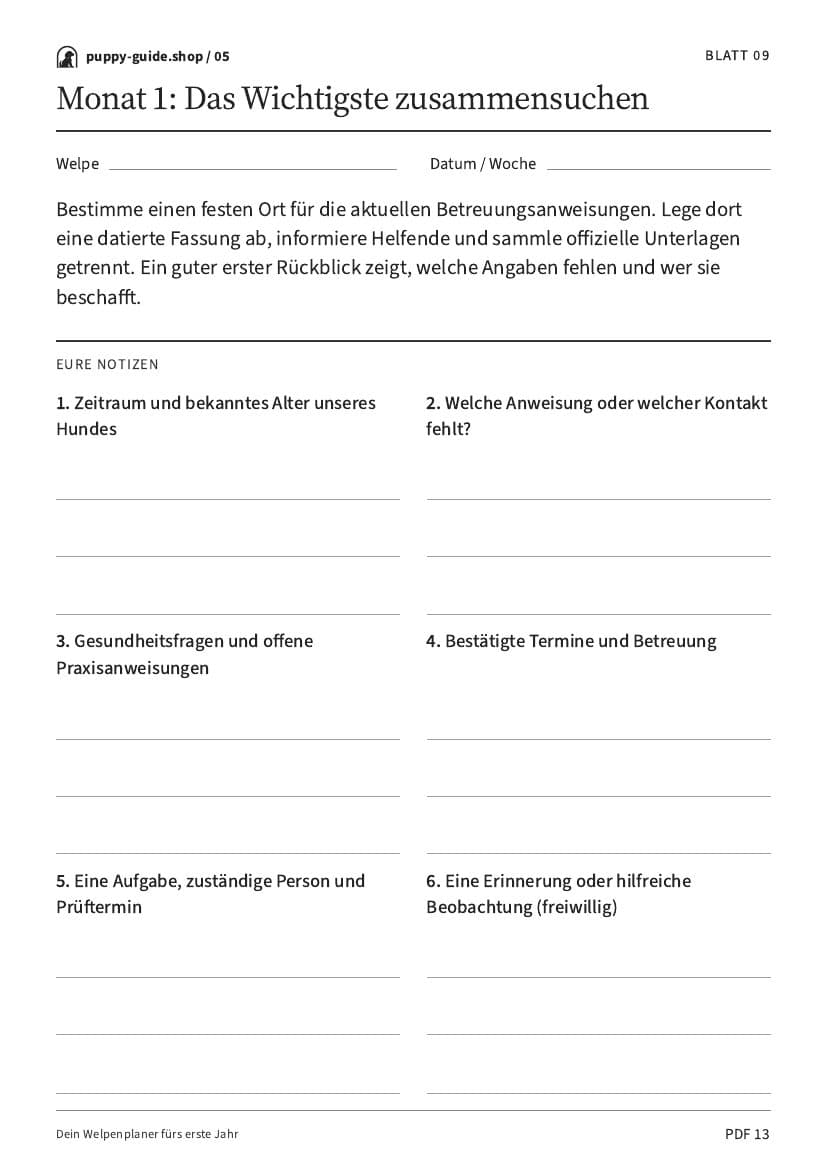 Monat 1: Das Wichtigste zusammensuchen · Arbeitsblatt-PDF, Seite 13