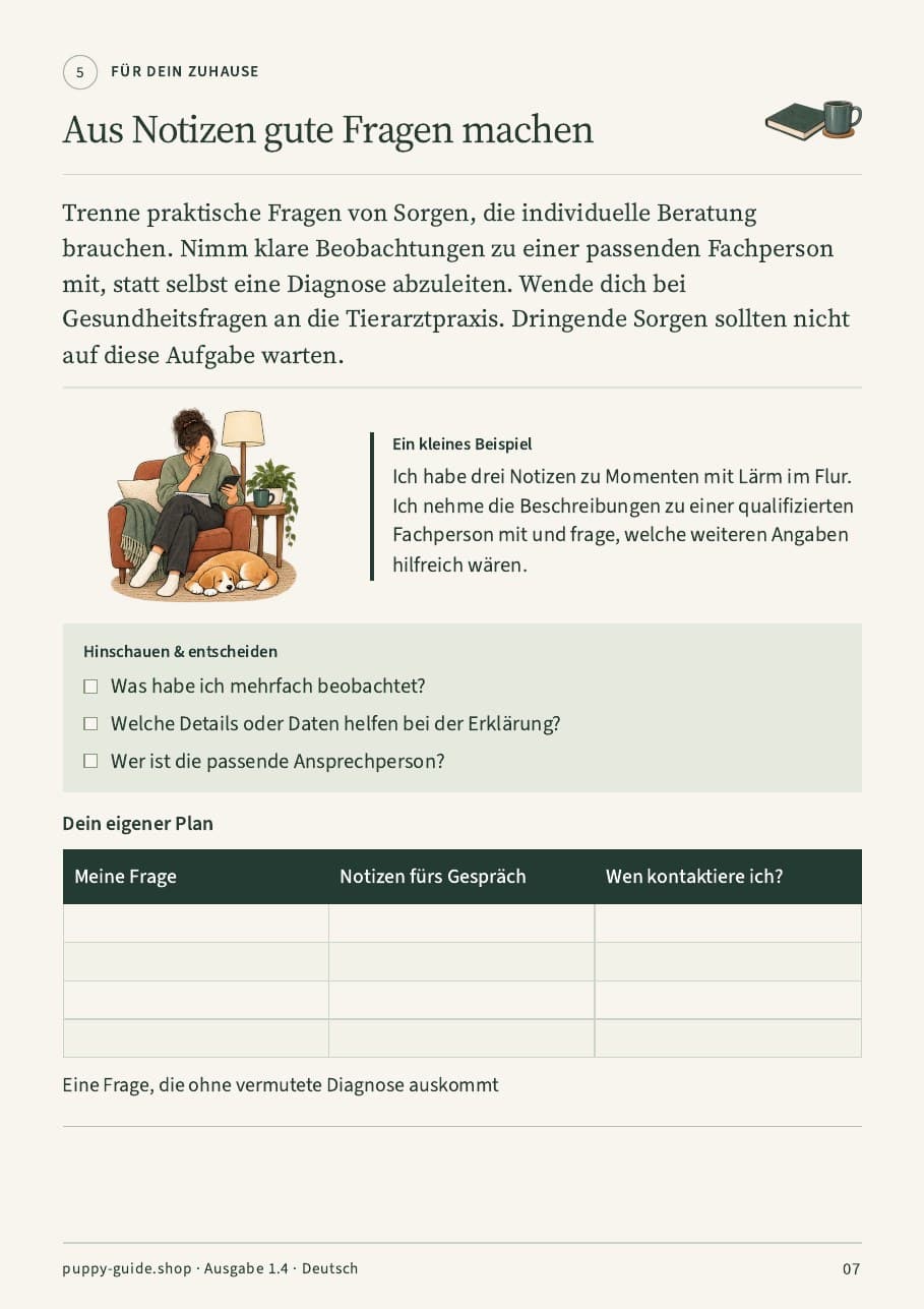 Aus Notizen gute Fragen machen · Seite 7