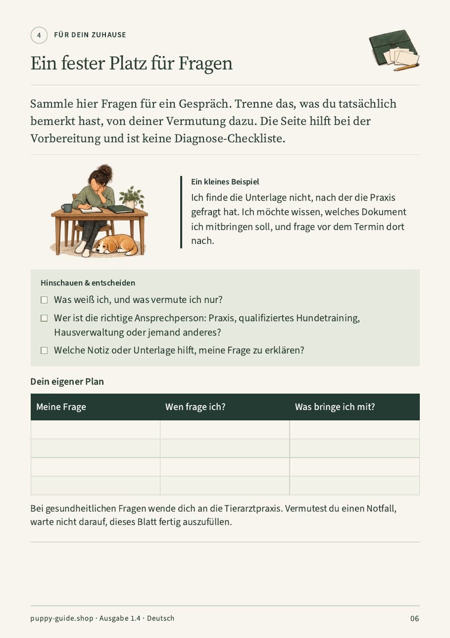 Ein fester Platz für Fragen · Seite 6