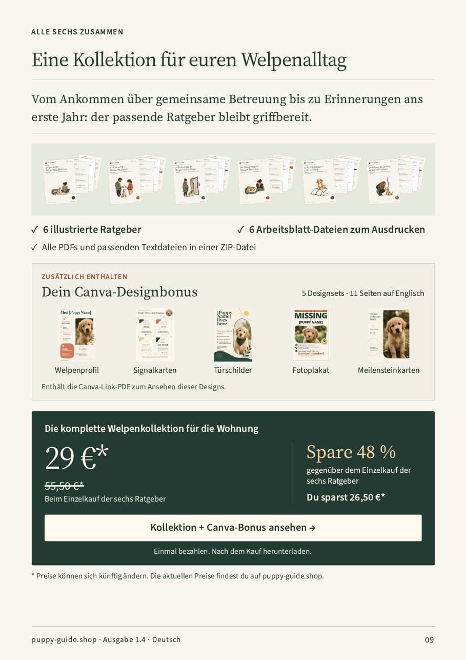 Eine Kollektion für euren Welpenalltag · Seite 9