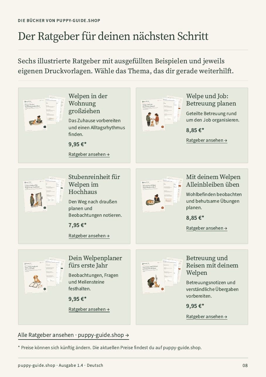 Der Ratgeber für deinen nächsten Schritt · Seite 8