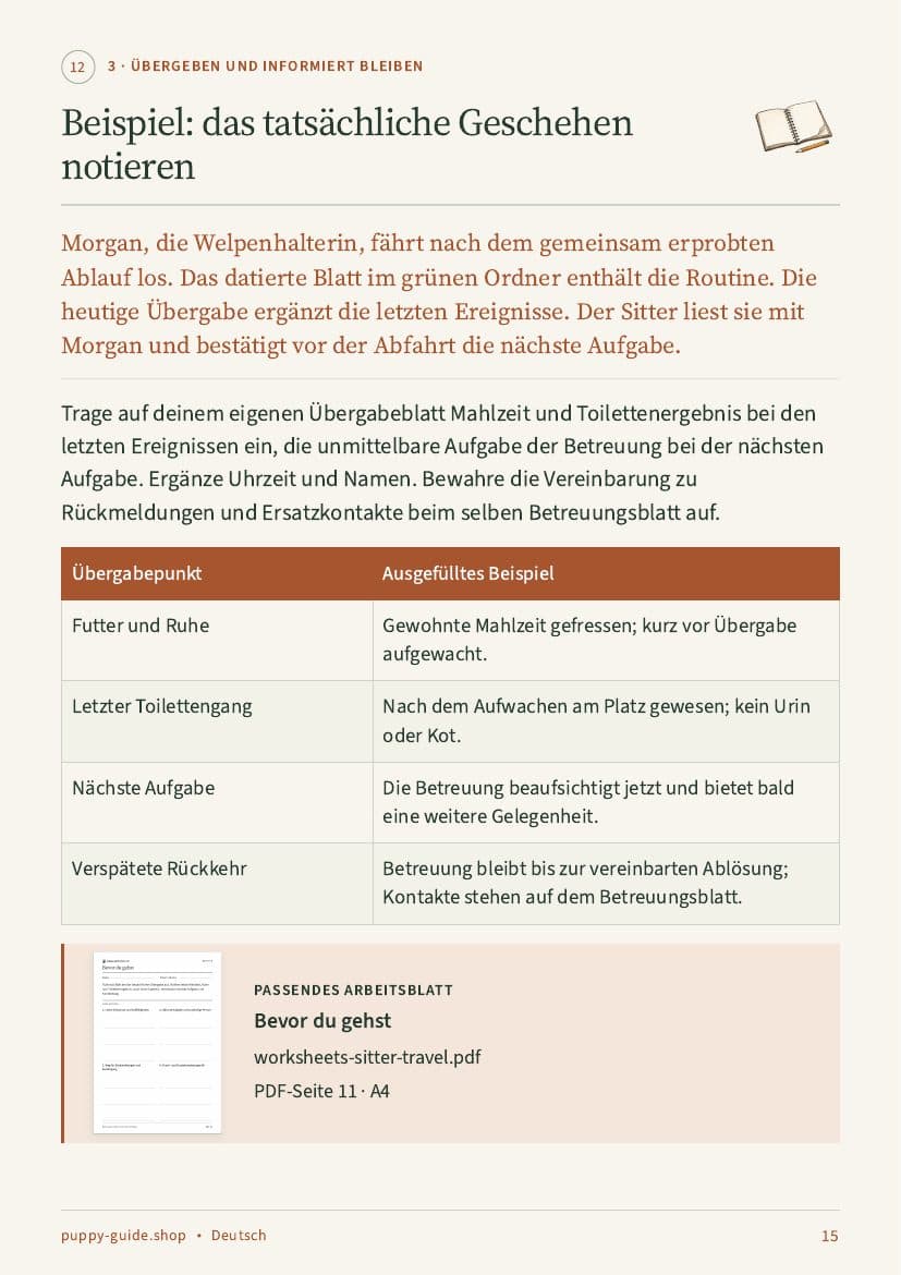 Beispiel: das tatsächliche Geschehen notieren · Seite 15