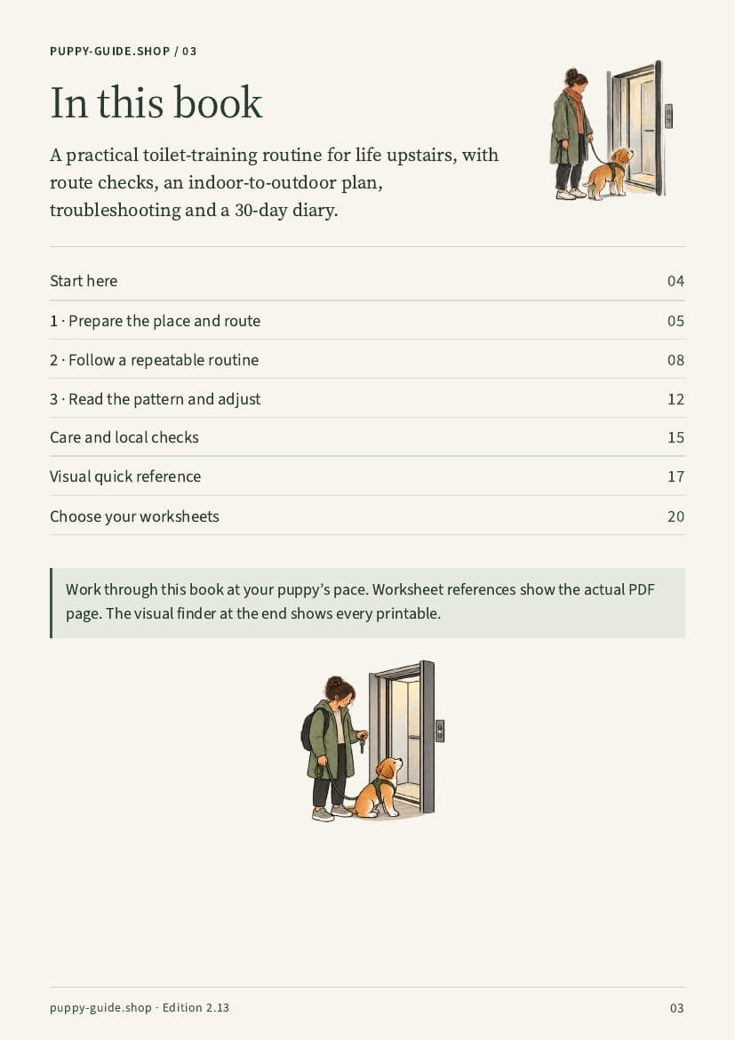 Contents · Page 3