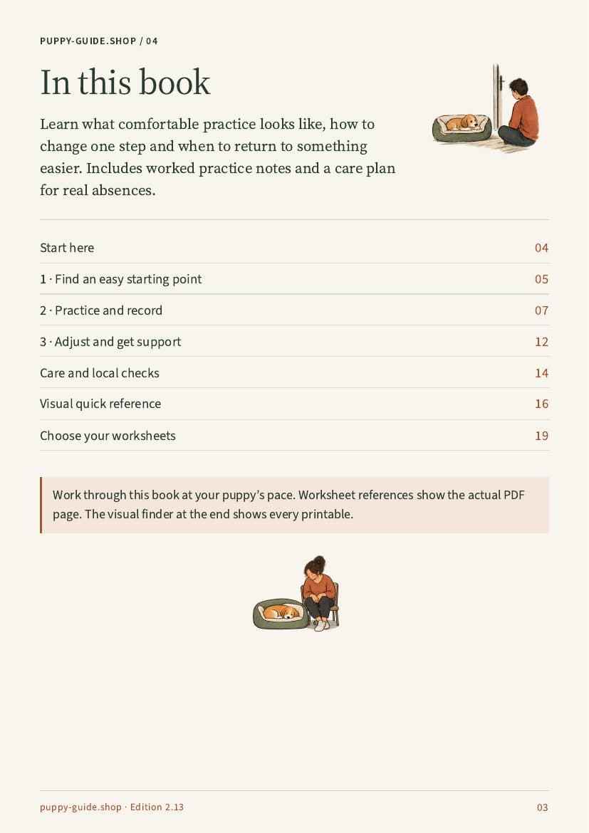 Contents · Page 3