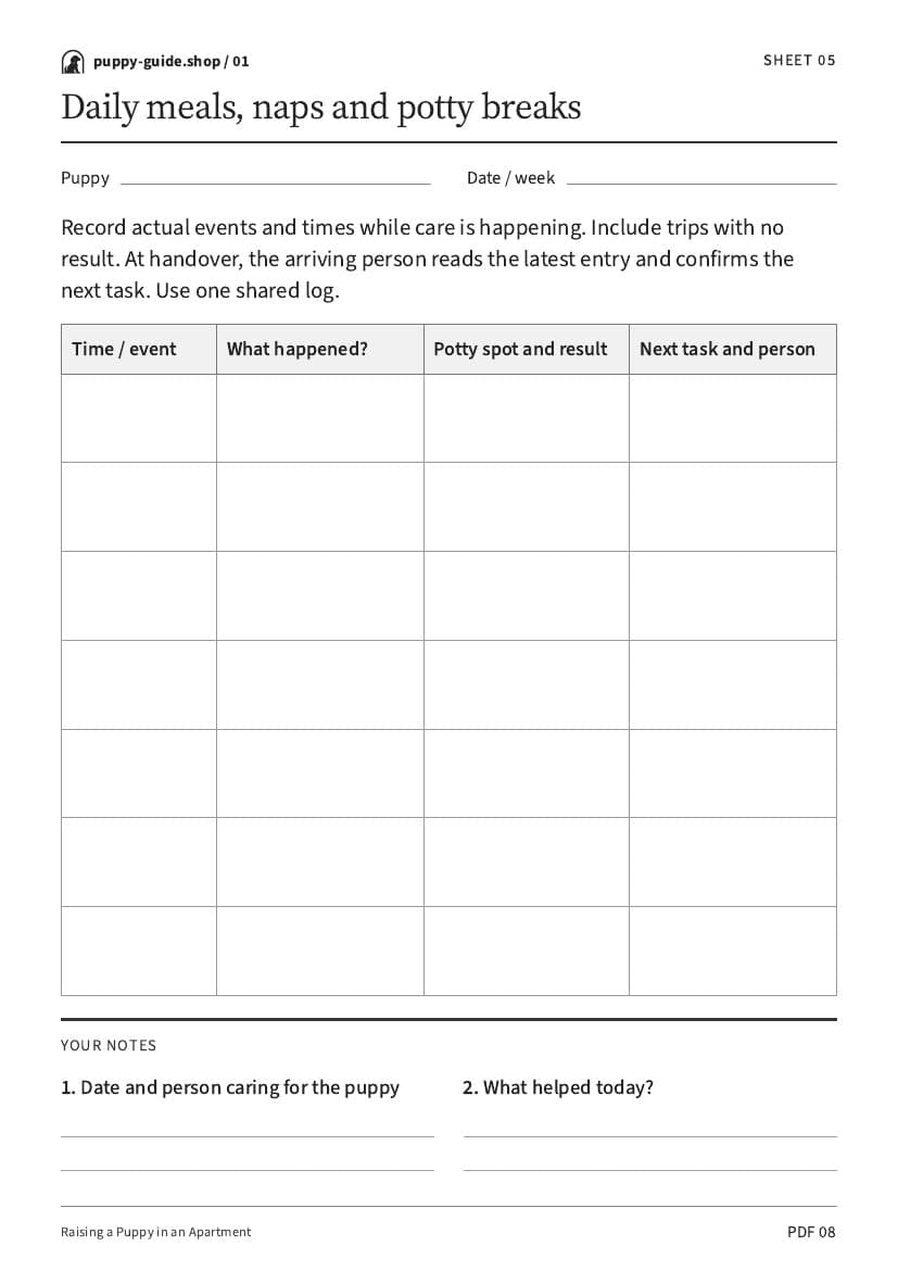 Daily meals, naps and potty breaks · Worksheet PDF, page 8