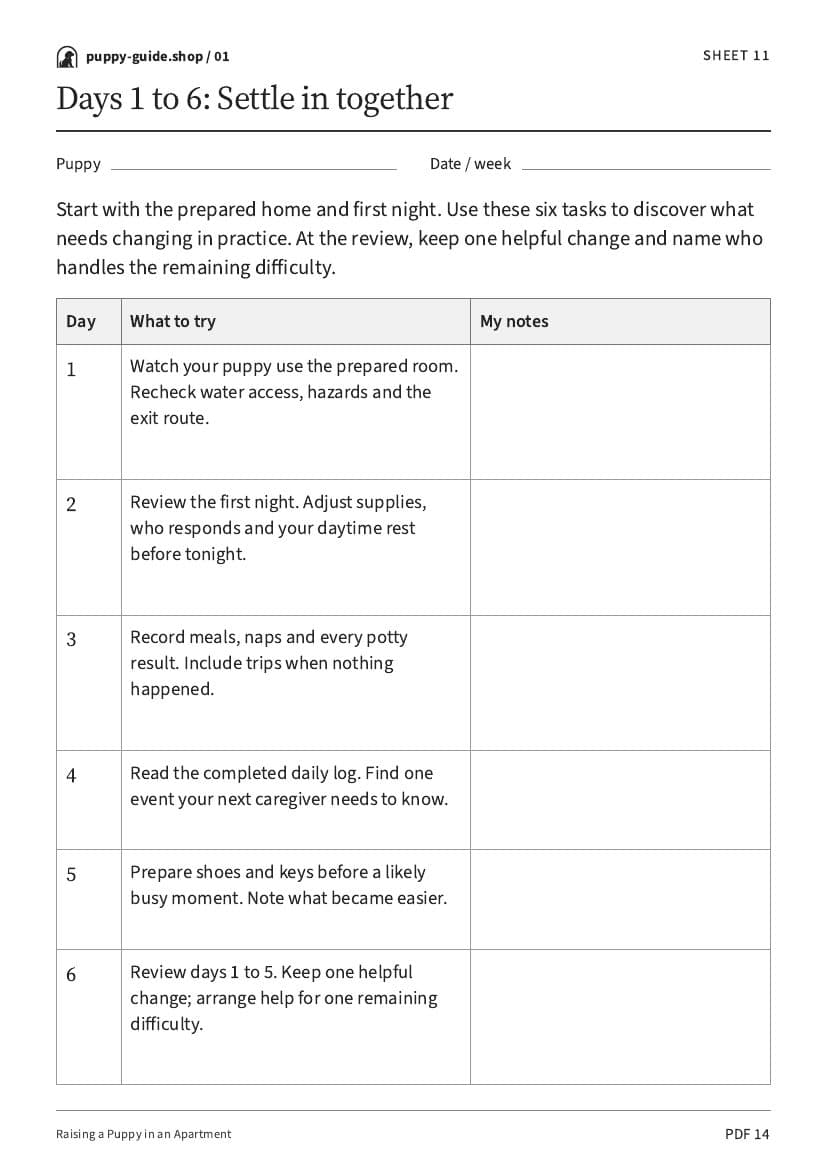 Days 1 to 6: Settle in together · Worksheet PDF, page 14