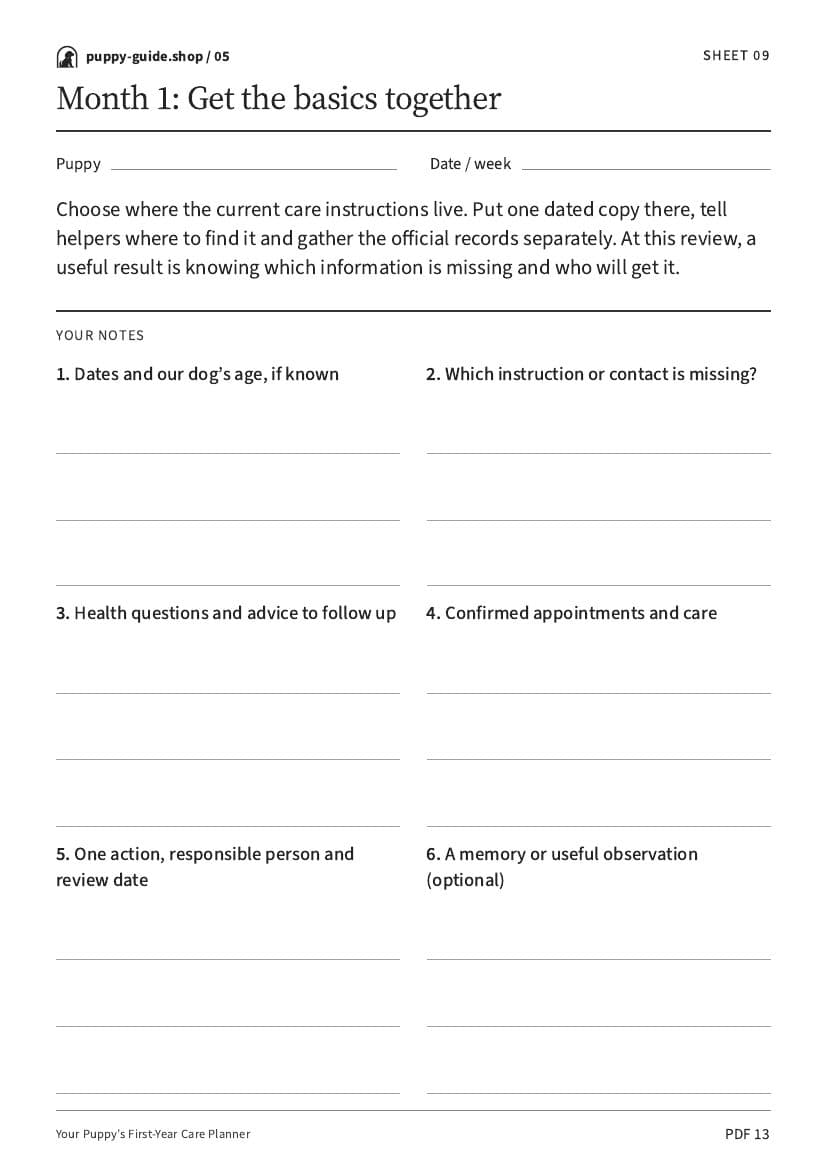 Month 1: Get the basics together · Worksheet PDF, page 13