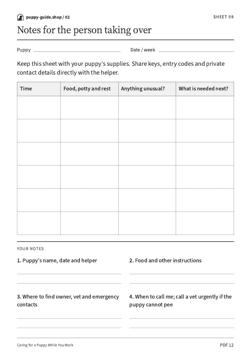 Notes for the person taking over · Worksheet PDF, page 12