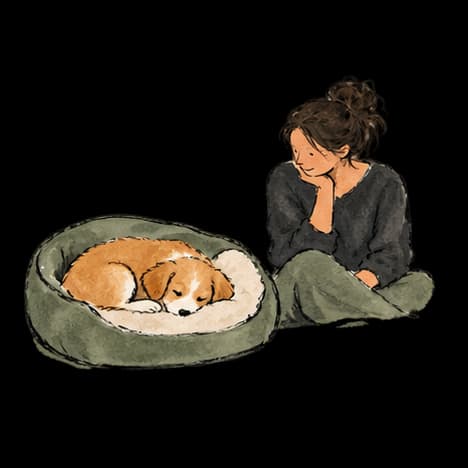 A puppy asleep in an open bed with a person sitting nearby.
